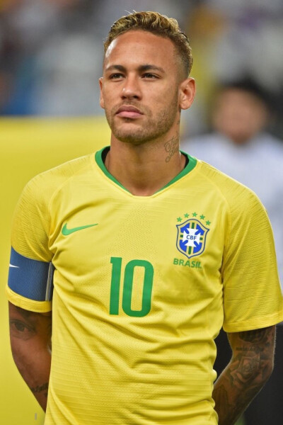 己的战术体 己的战术体