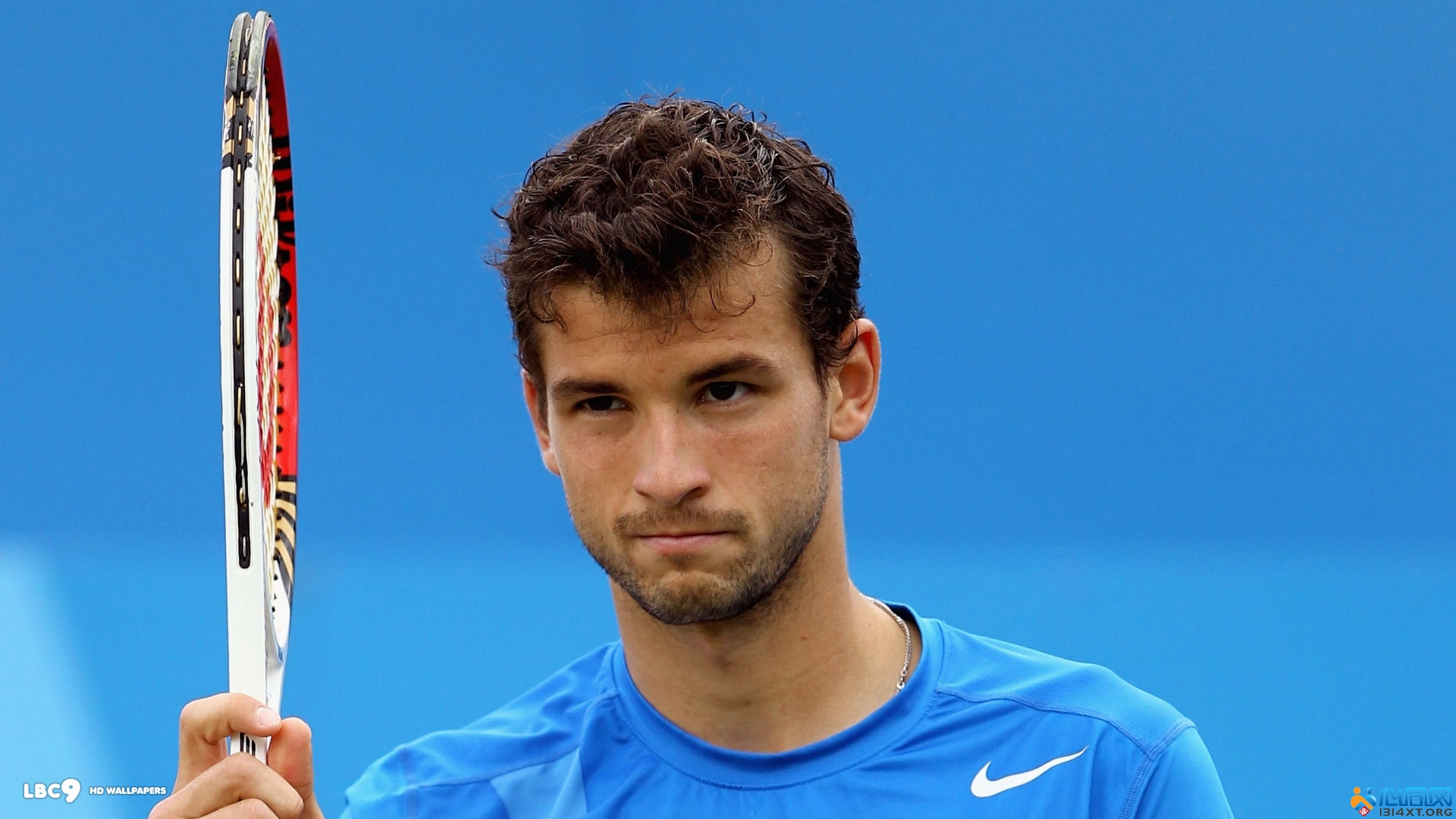 莱万也渴望 莱万也渴望