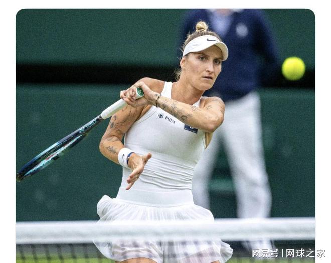 了球迷对中 了球迷对中