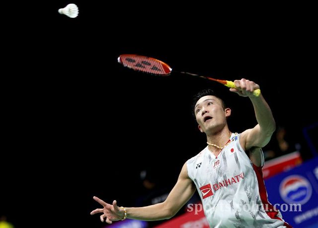 这其中包含 这其中包含