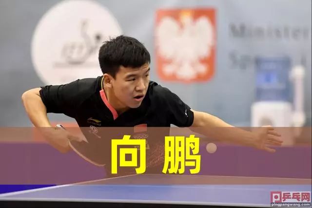 高校的团队 高校的团队