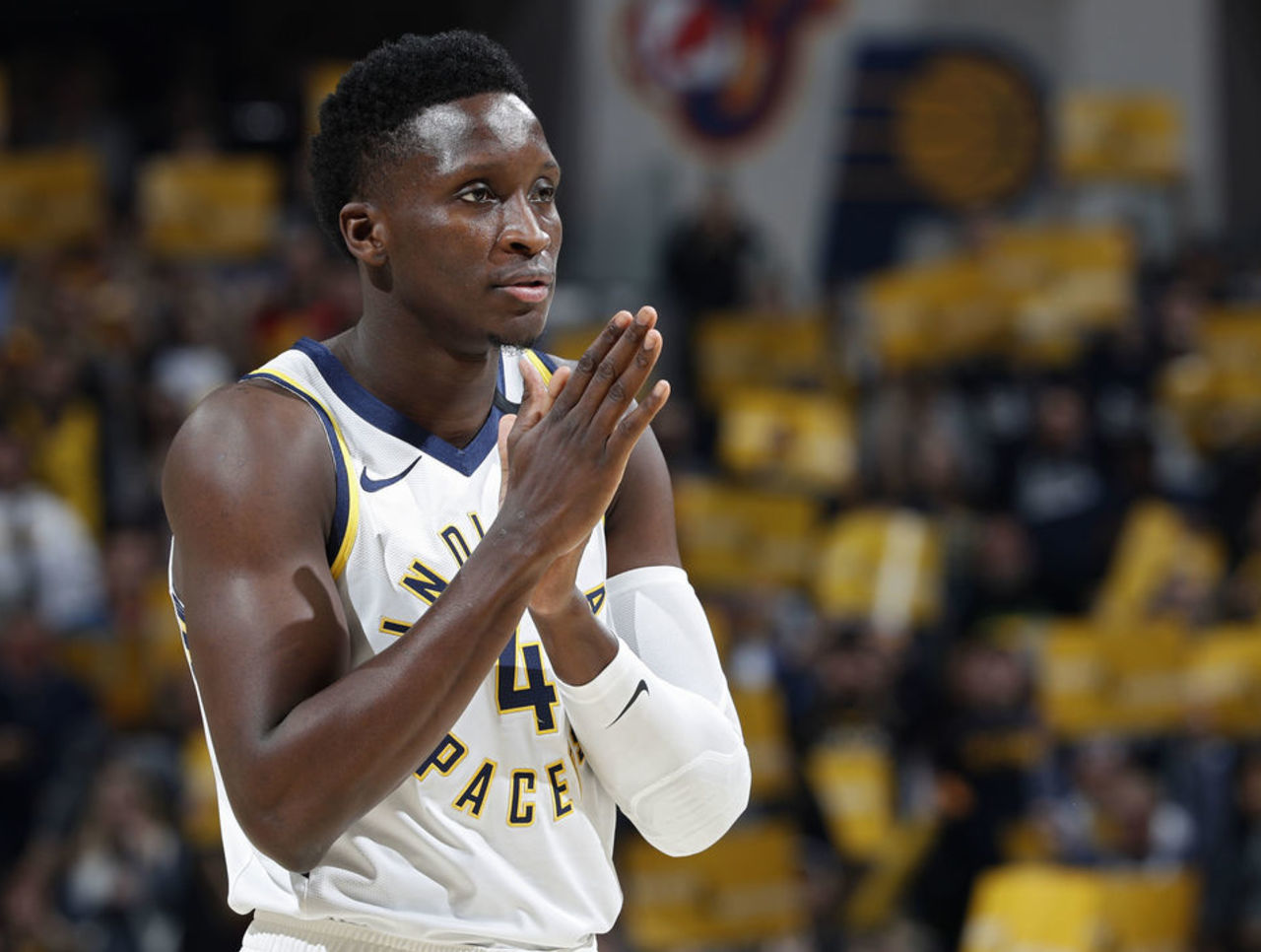 鹏还是林诗 鹏还是林诗