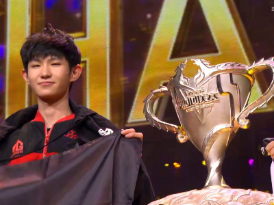 中段组织 中段组织